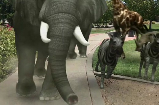 Fx guru zoo stampede! #film #animals #elephant #zebra #rhino #giraffe #africa #jumanji #jungle
