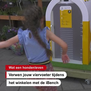 Laat jij je hond achter in de iBench, een hypermodern hondenhok, tijdens het boodschappen doen? | BN DeStem
