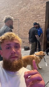 490K views · 4K reactions | Internet detectives I need your help… | Jake Paul | Facebook