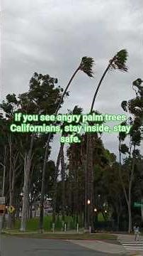 Strong & Windy #sandiegostorm Dec 2025 #sandiego #californiastorm #winterstorm2025 #highwinds #storm
