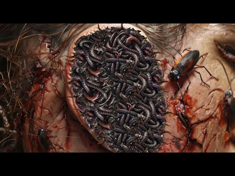 Gentle Clinic Sounds For ASMR Ear Infection Treatment Today