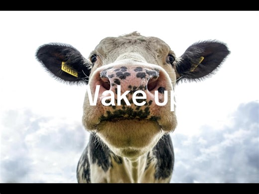 Wake up it’s the first of the month #memes #thefirstofthemonth