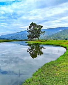 Ang Sarap Balik Balikan Ang Lugar Nato 🏞️ Mala New Zealand Ang Lugar . . Communal Ranch, Impasugong, Bukidnon🇵🇭 | Adventure ni Mar
