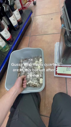 King of quarters on TikTok