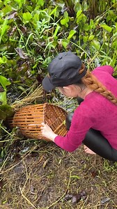 Survival fish trapping skills to catch huge albino catfish | Emma's Fishing