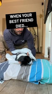 3.6M views · 120K reactions | They deserve to say goodbye too  | Animal Memes | Facebook