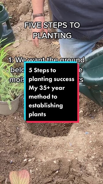 5 Steps To Planting Success - Establishing Plants with a 35-Year Method