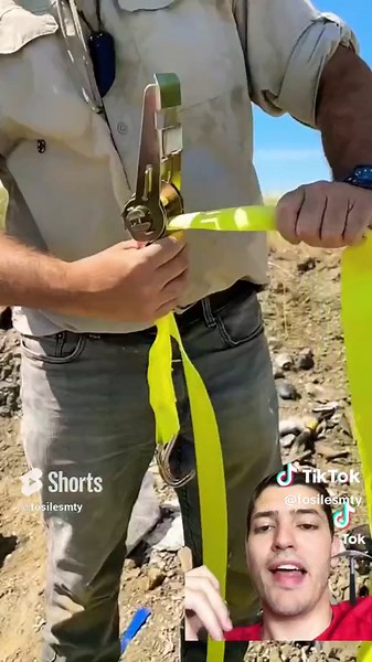 El proceso de descubrimiento de fósiles de Triceratops