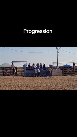 Exploring the Legacy of Bull Riding in Rodeo Culture