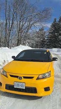 Enjoying the Scenery & TREES-please while visiting Cathedral Pines in Horseshoe Valley, ON, Canada