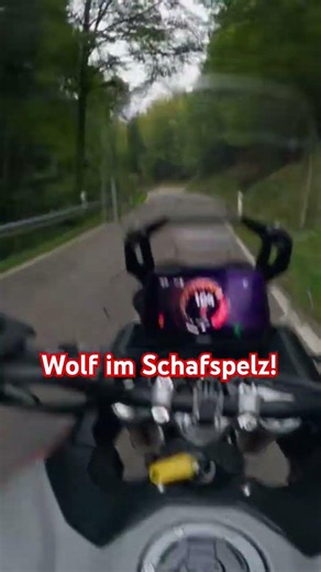 Dieses Motorrad ist ein absolutes Spaßgerät! Tiger 900 Testbericht!