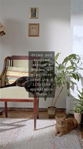 The Feline Legacy of Ancient Egypt Unwrapping the Secrets of Mummified CatsAs we delve...