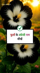 2.3M views · 24K reactions | Flower name in English. Important English Vocabulary 珞 #flowers #englishvocabulary #englishwords #Periwinkles #roses #lotus #marigold #englishlearning #zinnias #Jasmine #reelsfacebook | English Speaking | Facebook