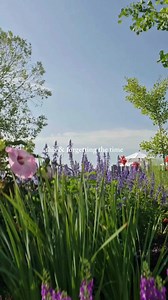 1.5K views | Settle into the beauty of the season with The Lake House...