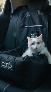 Our Cat Car Seat has just landed! 🙌🏼🚗🐈 DOOG is known worldwide for award-winning dog travel gear… and now it’s the cats’ turn to ride in first class. Introducing the DOOG x CAAT Cat Car Seat & Cat Restraint — because if dogs travel safely, your cat deserves the same VIP treatment. No more loose paws, no more lap-leaping mid-drive. Just calm, comfy, stress-free road trips for everyone. ✨ Why your cat will love it ✔️ Secure, cosy car seat that doubles as a bed at your destination ✔️ Restraint 