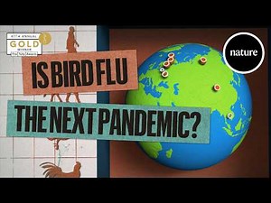 Is bird flu the next pandemic? The science so far.