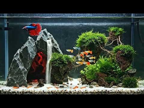 Mesmerizing Underwater Waterfall — Nature Reimagined in Aquascape Art