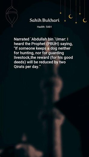 Sahih Bukhari, Hadith: 5481, Hunting, Slaughtering