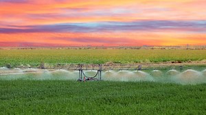 Factory farms get even grosser