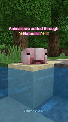 For those who want more animals, Naturalist is for you! (Available for bedrock and Java) ##minecraft##starfishstudios##fyp##mods##java##naturalist##bedrock##addon