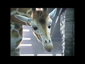 Toys R Us Holidays Commercial (2001)