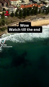 Wow there is sharks in the water | Tom Panos