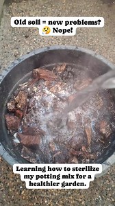 12K views · 17 reactions | Benefits of sterilization old soil? Sterilizing old soil offers several benefits, primarily focused on disease and pest control. #sterilizationoldsoil #followers #highlights #followers #plantitasLife #plantslover #gardening #gardeningtips #gardeninghacks #reelschallenge #reelsfacebook #nonfollowersviewers #followersreels #everyonehighlights #adsonreels #reelsviral #reelsphillipines | Harden sa Siyudad | Facebook