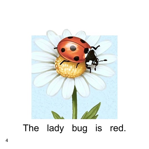 Red Color Book for Kids 🎨 Read Aloud for Preschool & Kindergarten #preschoolfun #colorsforkids