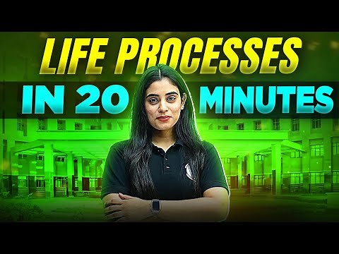 Life Processes | Complete Chapter In 20 Minutes | Class 10th Board