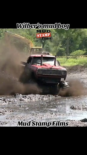 Bog it at Wilbers | Mud Stamp Films