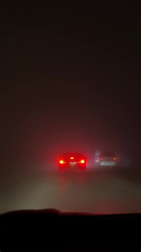 Exploring the Mystique of Fog in Punjab