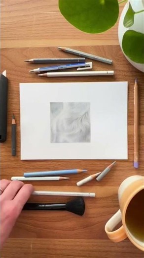 How to Draw White Fur on White Paper!