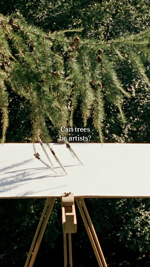 Mona Lisa on Instagram: "Tim Knowles is a versatile British artist who explores chance, randomness, and natural forces in his conceptual works. In his notable "Tree Drawings" series, part of the exhibition "for the Baron," Knowles transforms trees into collaborators in the creative process by attaching pens to their branches, allowing the wind's movement through the trees to create distinctive marks on paper. These resulting drawings function as unique "signatures" of each tree, documenting both