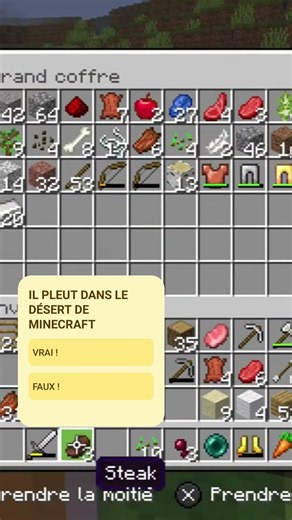 VRAI OU FAUX MINECRAFT #73