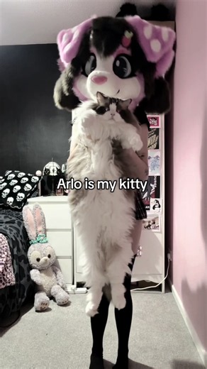 Arlo!!!!!! #furry #fursuit #fursuits #fursona #furrygirl | arlo