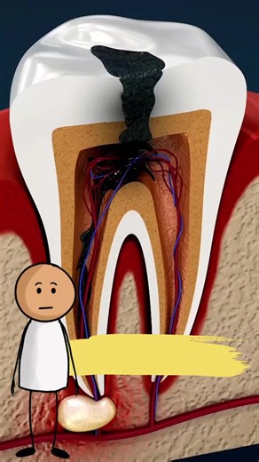 Interesting Facts That Will Blow Your Mind