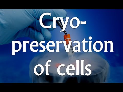 Cell culture techniques 4 - Cryopreservation