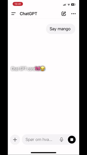 Hala (@hala.melesh0)’s video of chat gpt
