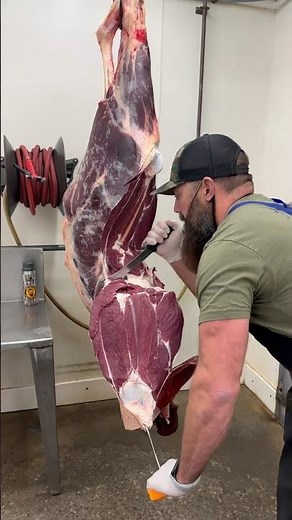 Bison Round Tip and Tri-Tip🔪🥩 #shorts #bison #tritip #roundtip