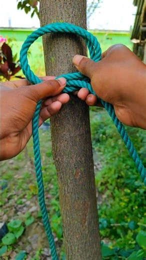 Name This Knot in 5 Seconds ✅ #knowledge #camping #experiment #usa