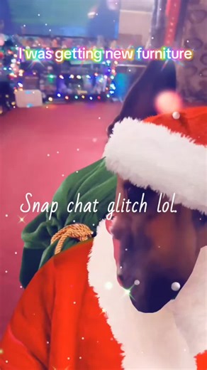 #2025 #fun #doglove #snapchatfilter koby-kai was loving the space as snap chat was glitching x