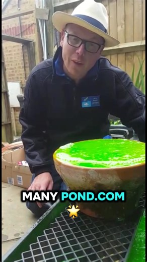 1.9K views · 30 reactions | Start your DIY pond journey here  waterfeature.shop #ThePondAdvisor #DIYPond #AquascapeUK #EcosystemPond #WaterFeature #GardenDesign #PondLife | The Pond Advisor | Facebook