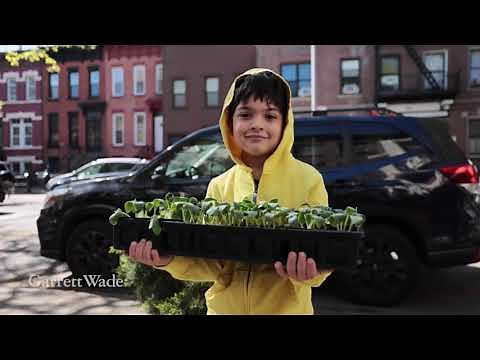 Where Good Tools Come First | Garrett Wade