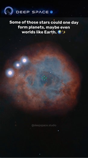Inside The Rosette Nebula, New Stars Are Being Born 🌌