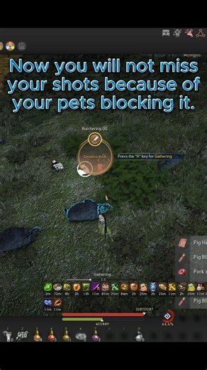 Pets blocking shots while sniper hunting? #bdo
