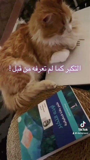 كتاب#اوجه_التكبر #لازاريف #ترجمة_محمد_سبلبل #دار_اقرأني #كتب #ملخص #القراءة