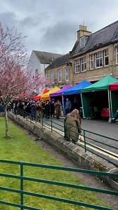 Hawick Reivers Festival Parade 🎶⚔️🛡️🐴 | Project Hawick
