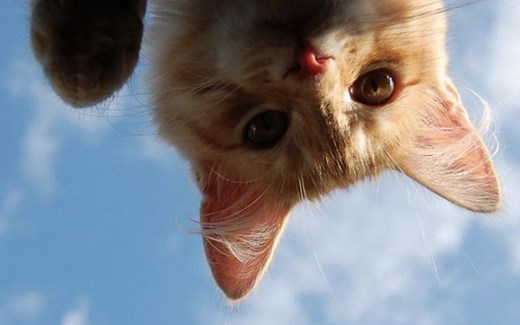 线性动态系统导论 Introduction to Linear Dynamical Systems 斯坦福Stanford