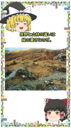 1分でわかる土地の地目⑪「原野」#shorts