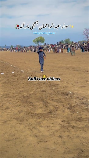 Swar Abdul Rahman Bull Race Highlights